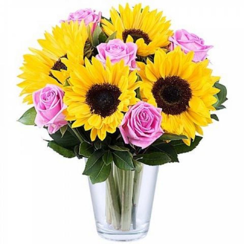 Girasoli Fast Home Delivery In And Around Milan Flowers Milan Flowers Delivery At Home Milan And Surroundings